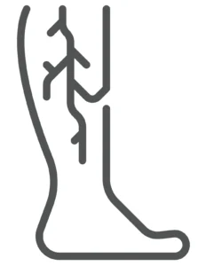 Vein Treatments Icon